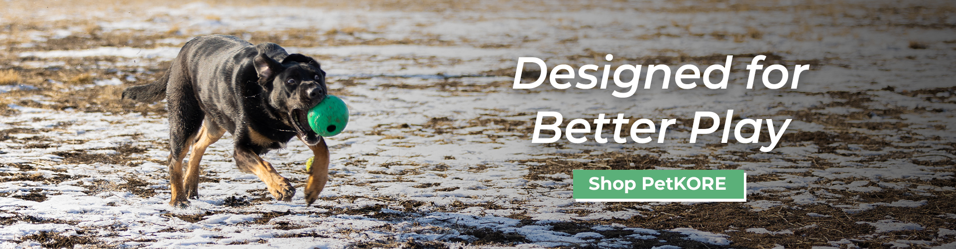 A dog runs across a snowy field carrying a green ball toy in its mouth, with the text “Designed for Better Play” and a button labeled “Shop PetKORE” displayed on the right side.