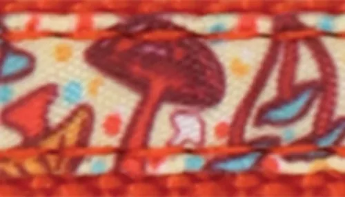 Li'l Pals® by Coastal® Charming Ribbon Overlay Dog Leash Product image